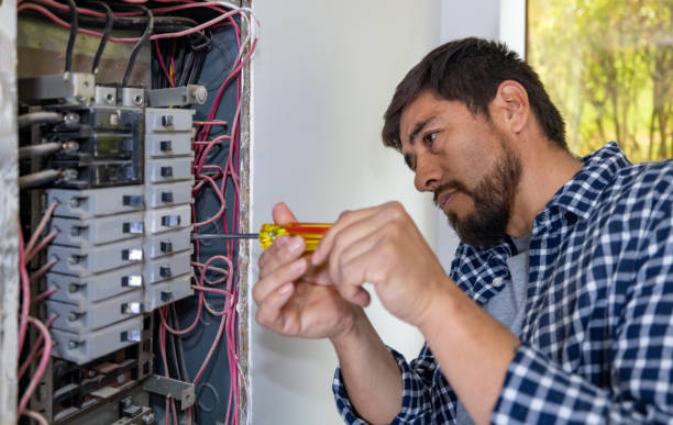 Best Electric Panel Repair  in Brookfield, MO